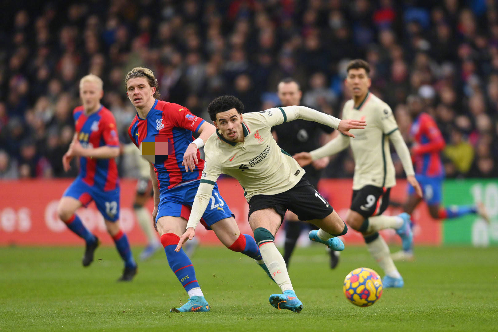 领队强调 领队强调